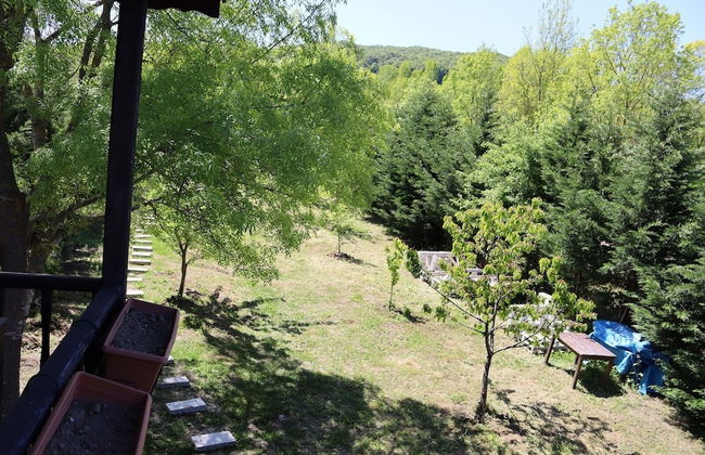 Vira Garden House - Foto 45