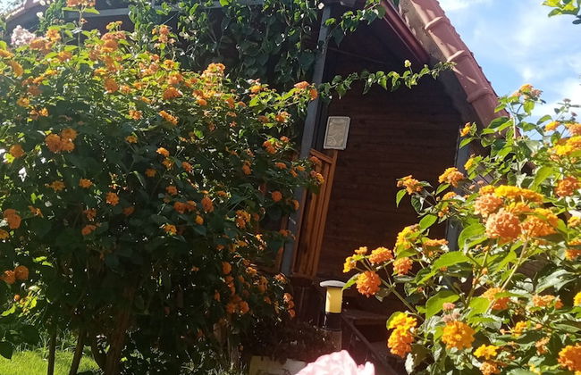 Riviera Bungalow Evleri Demre - Photo 61