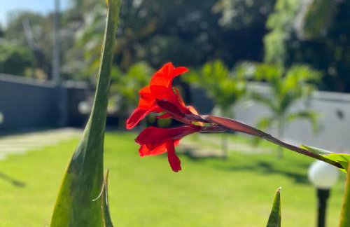 Chalé Litoral Norte - em condomínio de praia - Foto 43
