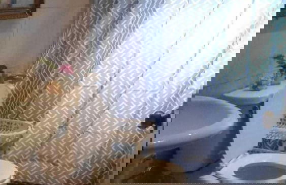 El Nido Cerro Azul - Foto 34