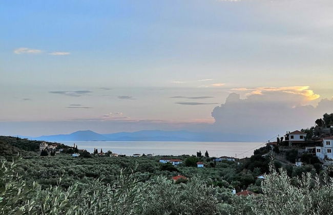 Luxury Mansion in Pelion Hills - Foto 29