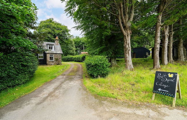 Red Squirrel Cottage Pet Friendly Family Adventure Retreat in Aberdeenshire - Photo 6