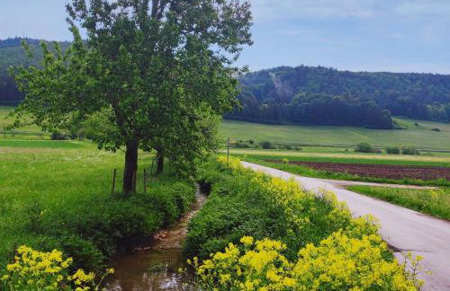 Apfelkiste - Foto 28