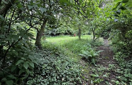 The Smithy - Foto 28