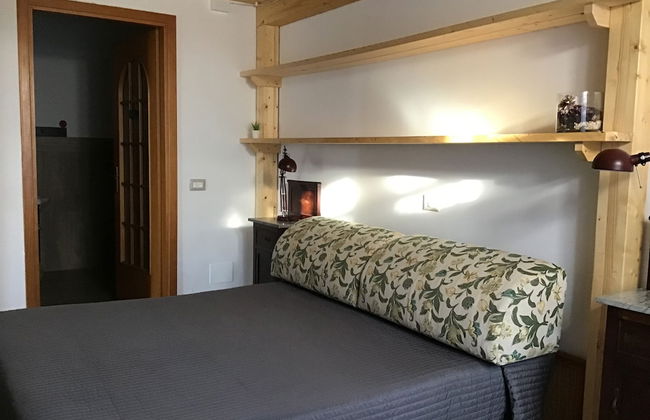 Viola nel Parco - Foto 7