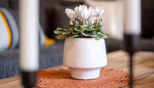 Ferienwohnung Am Dorfbach - Foto 2