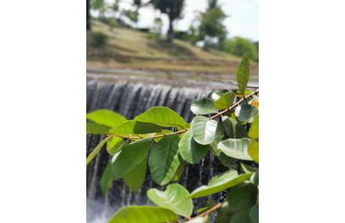 Piscina Aquecida, Jacuzzi, internet veloz, no centro de Serra Grande - Apt Laranja - Vila Pitangueira - Photo 35