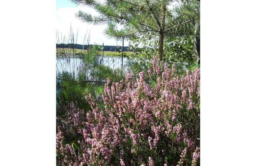 Apartment at the Eichenpark - Foto 19