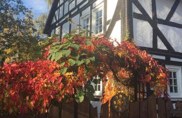 Haus Auenland - Photo 11