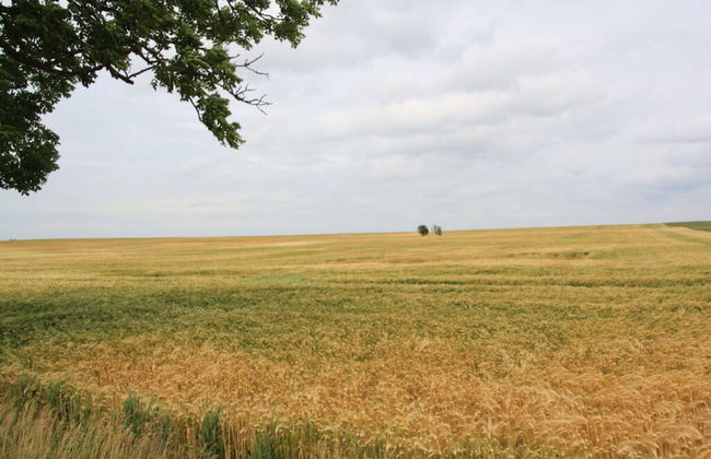 Lake View Modern Retreat - Foto 23