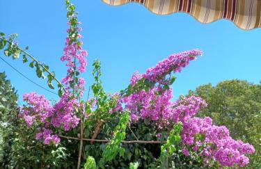 Apartman Mi - Foto 4