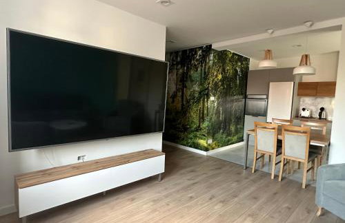 Apartament Mazurski - Foto 9