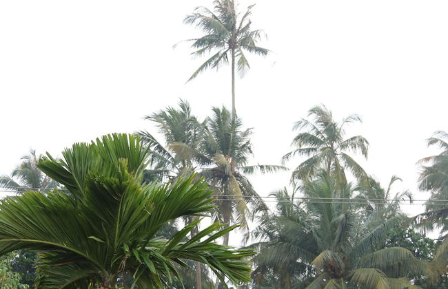 The Villa Sea Breeze - Photo 38