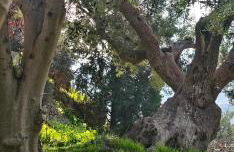 Peloponnese Hideout - White house with the sea view - Photo 66