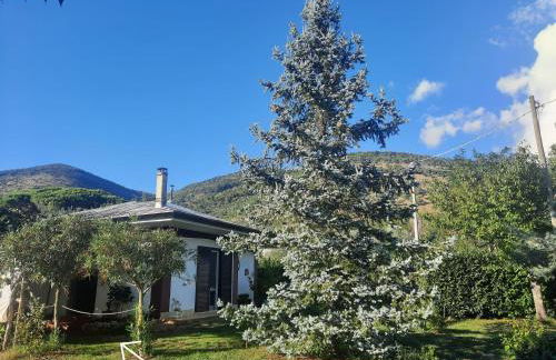 Casetta in Collina - Foto 2