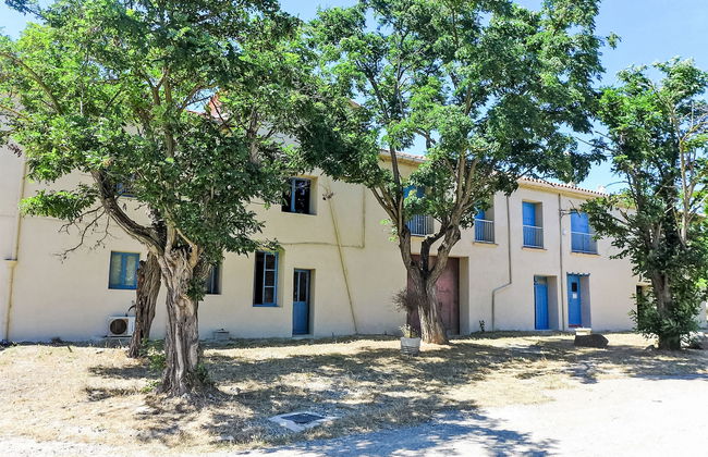 Les Vendanges - Foto 30