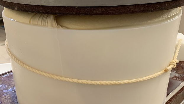 Parmigiano, Balsamic and Ferrari Flavors of Emilia Romagna - Photo 3