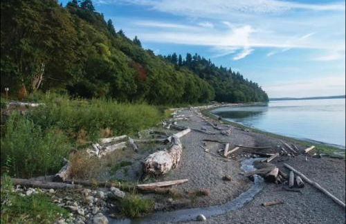 Moder charmer 4 BR 3 BA 12 Miles to Seattle, 3 miles to Airport near the mall - Foto 52