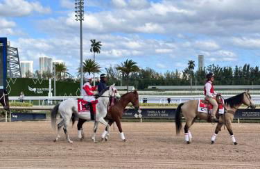 Luxury Waterfront Home, With Private Hot Tub, Hallandale Beach, Casinos, Shops - Foto 51