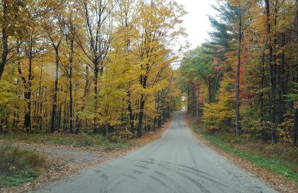 Deer Valley Retreat, Lovely Log Cabin with Fireplace & Garden Views- Perfect for a Relaxing Getaway! - Foto 7