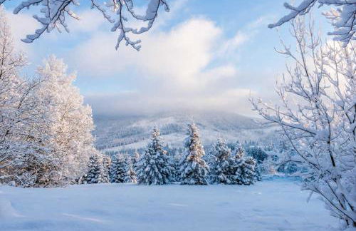 AS-Ferienwohnung - Foto 24