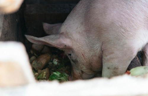 Villa Lolù - Photo 76