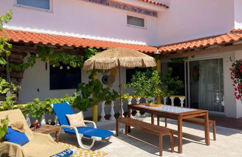 Bico das flores - Foto 59