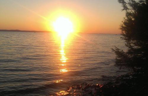 Apartments with garden - Foto 44