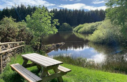 The Barn at Pentregaer Ucha, with tennis court and lake - Foto 9