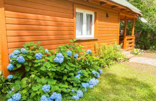 Chata przy lesie - Foto 54