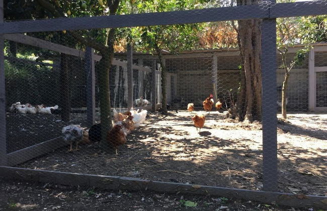 Agriturismo Il Convento - Photo 32