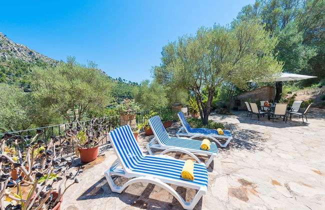 Sa Tarongera in Andratx - Foto 35