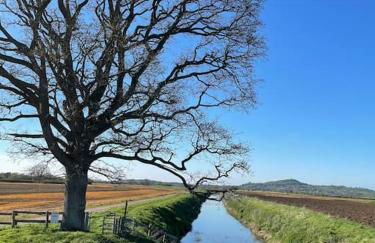 No 96 Chapel Lane - Self Contained Cottage In The Heart Of Butleigh - Photo 46