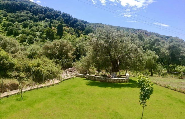 PargaLand Studios & Apartments - Foto 57