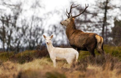 The Watchmakers Matlock - Foto 22