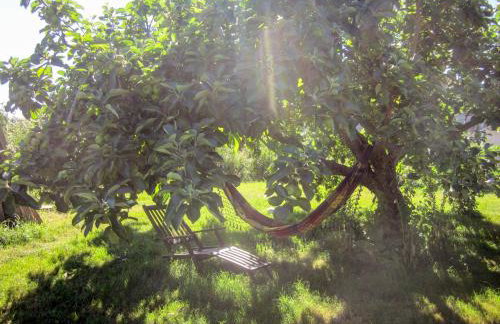 Old Cary Cottage - Foto 25