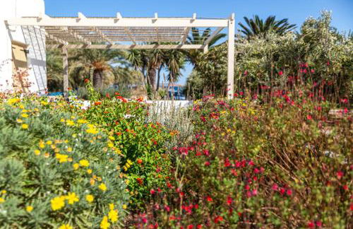 Glaros Kouremenos - Photo 35