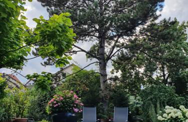 Ferienwohnung Sautter - Foto 14