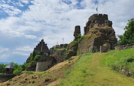 Ferienwohnung im Moseltal - Foto 19