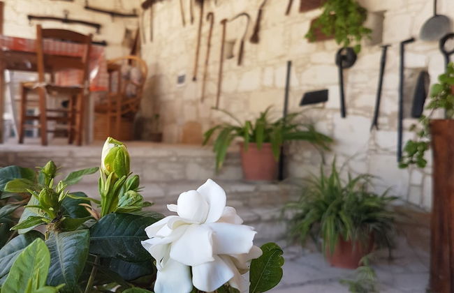 Olympia Traditional Houses - Foto 50