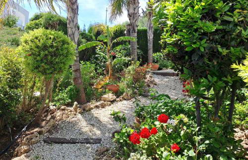 Noctua 035 Villa Valle Romano 035 - Photo 32