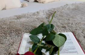 Wehostcostaluz Le Petit Palace Catedral con parking gratuito - Foto 56