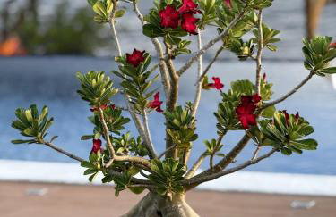 Mini-resort na Beira do Rio! - Foto 76