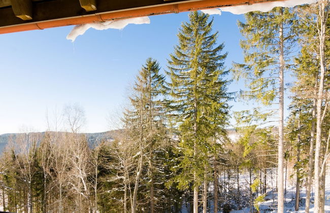 Large Apartment in Urberg in the Black Forest - Photo 32