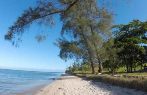 Feliz no arraial do Cabo - Foto 1