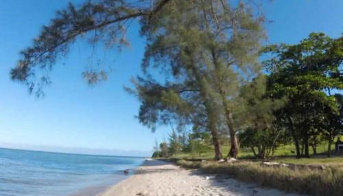 Feliz no arraial do Cabo - Foto 1