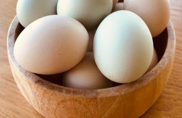 Ballygally seaview apartment - Foto 21