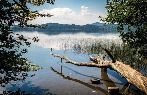 Eifel im Herzen - Photo 30