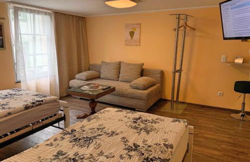 Fewo Zur Goldenen Traube - Foto 41