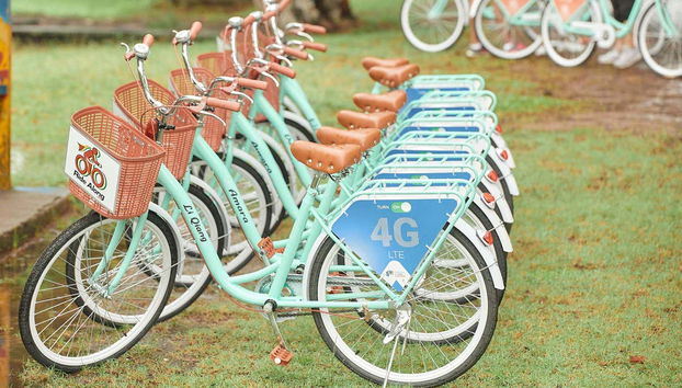 Tour en bicicleta por Georgetown - Foto 5, Bicis que utilizaremos